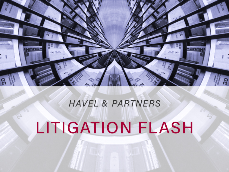 Litigation Flash